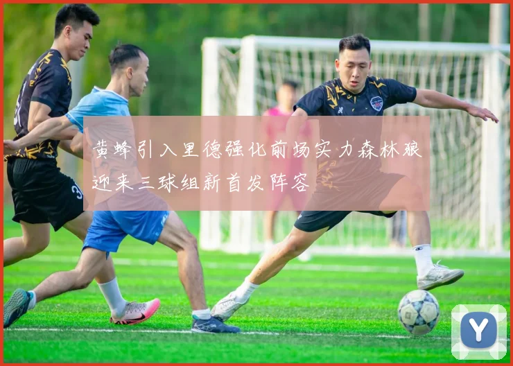黄蜂引入里德强化前场实力森林狼迎来三球组新首发阵容