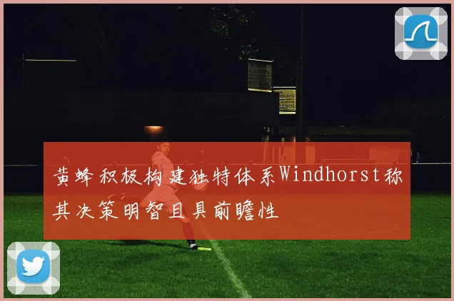 黄蜂积极构建独特体系Windhorst称其决策明智且具前瞻性